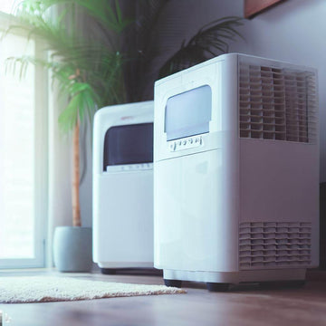 Dehumidifiers Worth the Money: Transforming Homes and Health - Lazy Pro