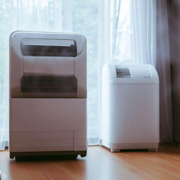 Do Dehumidifiers Dry Out Walls? A Comprehensive Guide - Lazy Pro