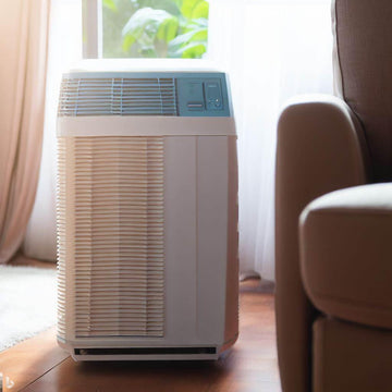 Do Dehumidifiers Prevent Damp? Discover the Power of Dehumidification - Lazy Pro