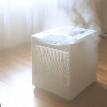 Do Dehumidifiers Throw Off Heat? Explained & Tips for Managing Heat - Lazy Pro