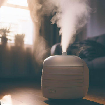 Find the Best Cold Mist Humidifier Near Me: Expert Recommendations - Lazy Pro