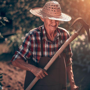 Mastering the Art of Hoeing: Tips for Garden Hoe Farmers - Lazy Pro