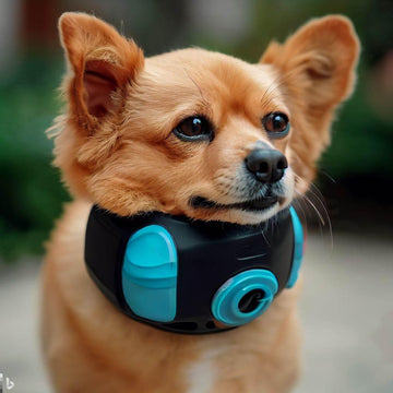 Shock Collars for Small Dogs Under 8 lbs: Exploring Training Methods - Lazy Pro