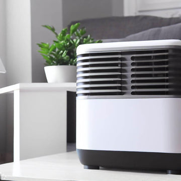 Small Room Dehumidifier: Prevent Mold & Improve Air Quality - Lazy Pro