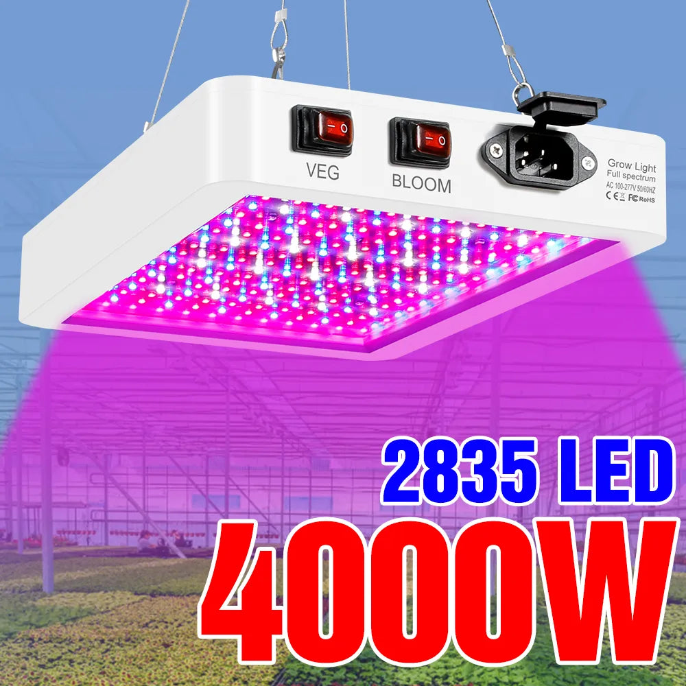 LazyGLO G4000 Full-Spectrum LED Grow Light Hydroponic Lamp Fast Growth