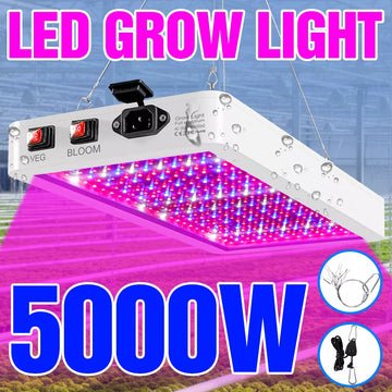 LazyGLO G5000 LED Grow Panel Plant Lamp Phyto Lamp Indoor Spectrum 5000W