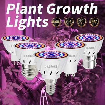 LazyGLO GU10 Phyto Lamp Hydroponic Growth Light E27 Plant Seeds Bulb