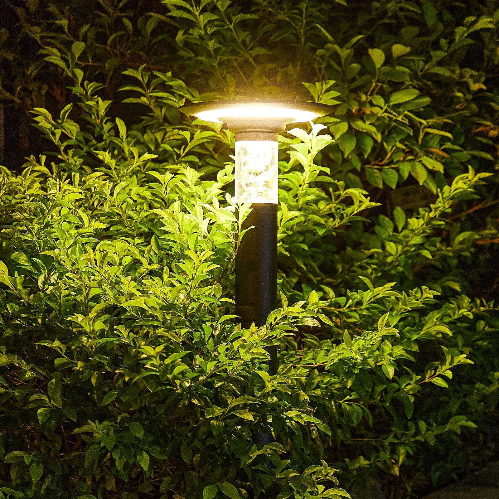 LazyGround™ Solar Lawn Light With Dimmable LED - Lazy Pro