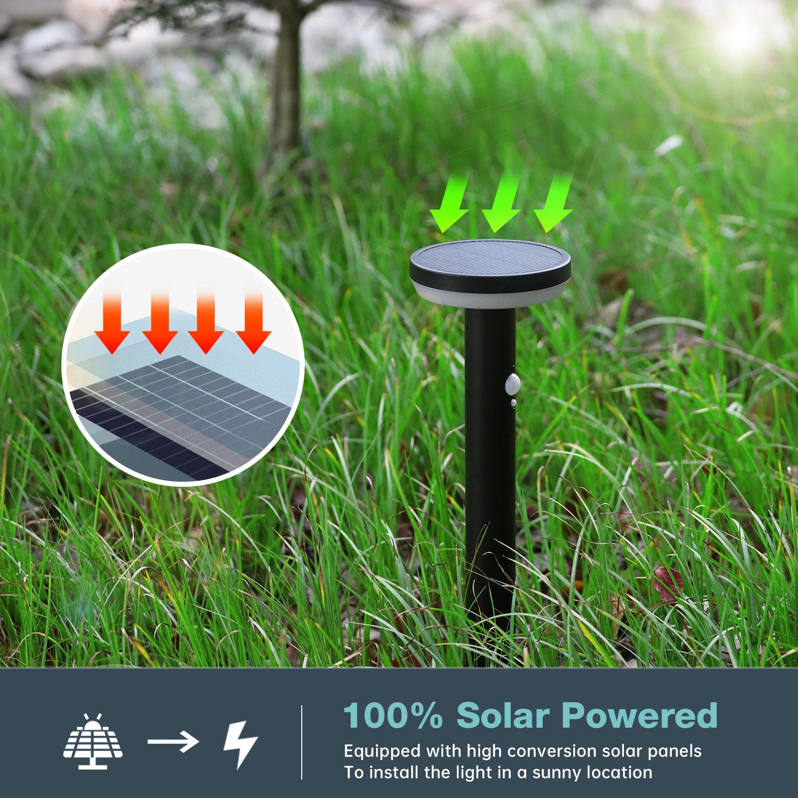 LazyInground™ Solar Outdoor Light Pathway Dusk to Dawn Garden Lighting 1971 - Lazy Pro