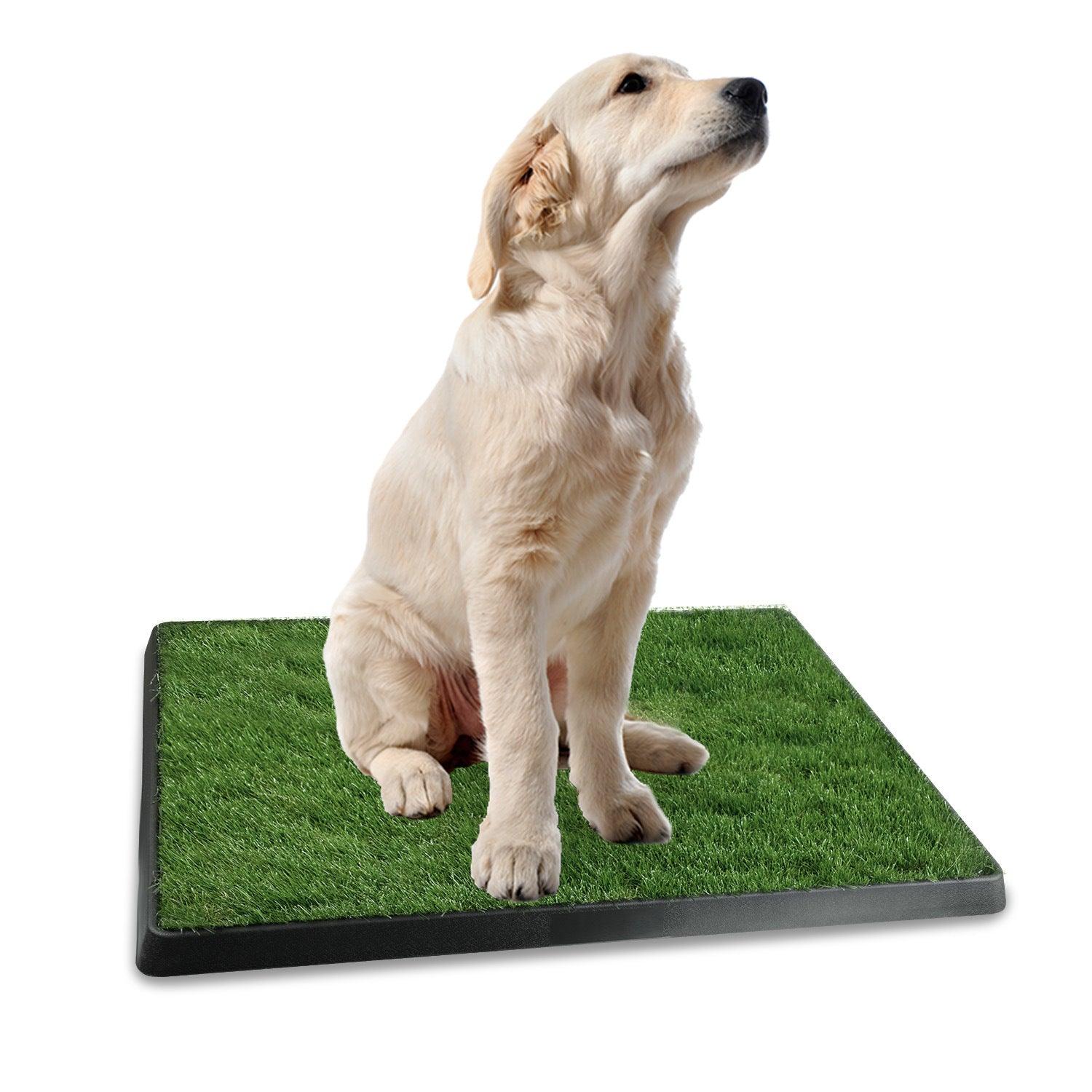 Dog Potty Training Artificial Grass Pad Pet Cat Toilet Trainer Mat Puppy Loo Tray Turf - Lazy Pro