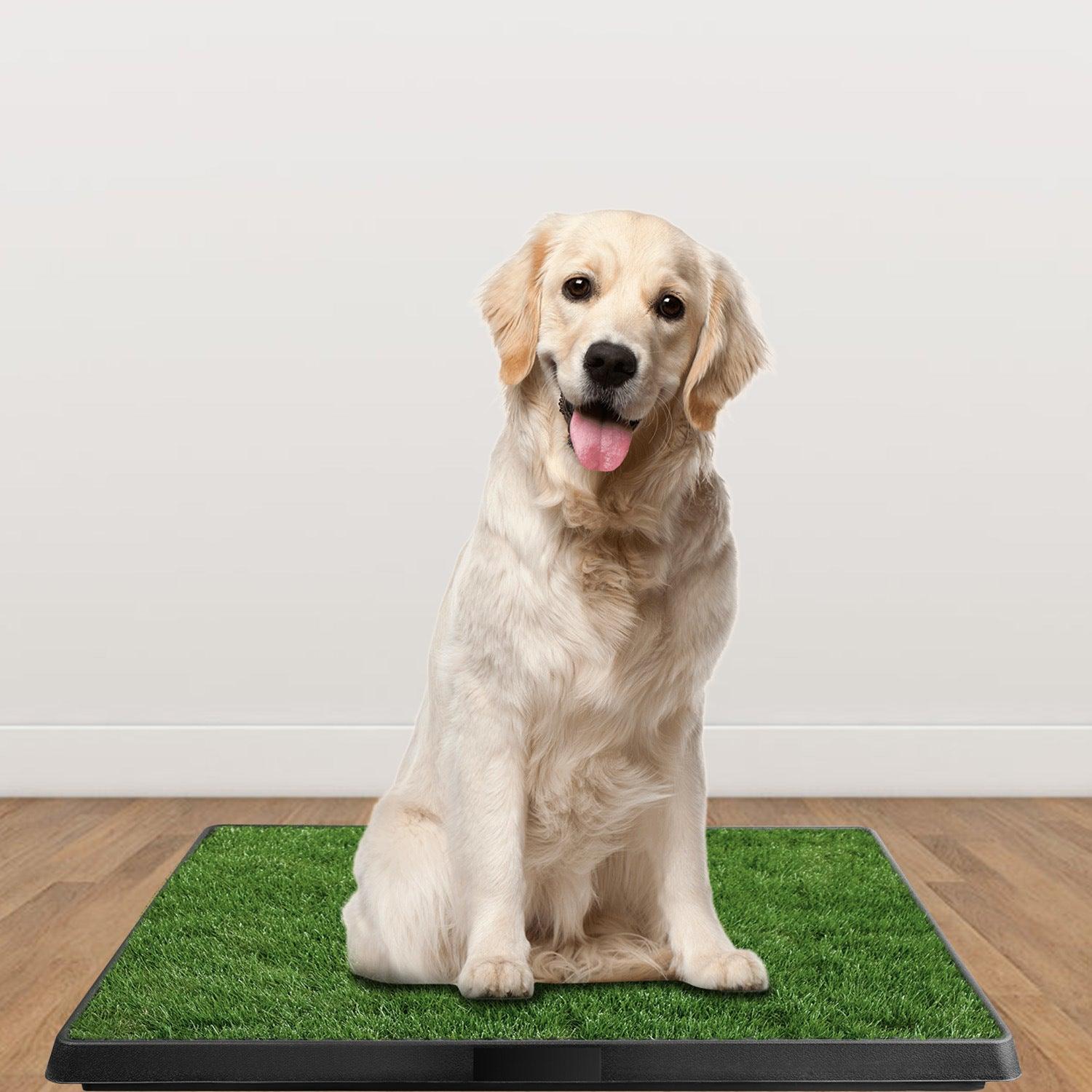 Dog Potty Training Artificial Grass Pad Pet Cat Toilet Trainer Mat Puppy Loo Tray Turf - Lazy Pro