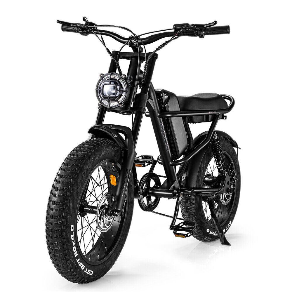 LazyBot 500W 28 MPH Mountain Electric Bicycle Fat Tire 265 lbs - Lazy Pro