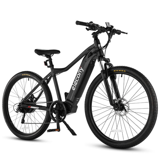 LazyBot Electric 27.5