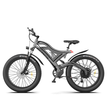 LazyBot S18 26 in 750W Electric Bike Fat Tire 48V 15AH with REMOVABLE Battery for Adults - Lazy Pro