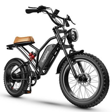 LazyBot™ Seattle S4 1000W 48V 25AH electric bike 20 inch fat tire bicycle beach cruise e-bike all terrain off-road ebike for Adults - Lazy Pro