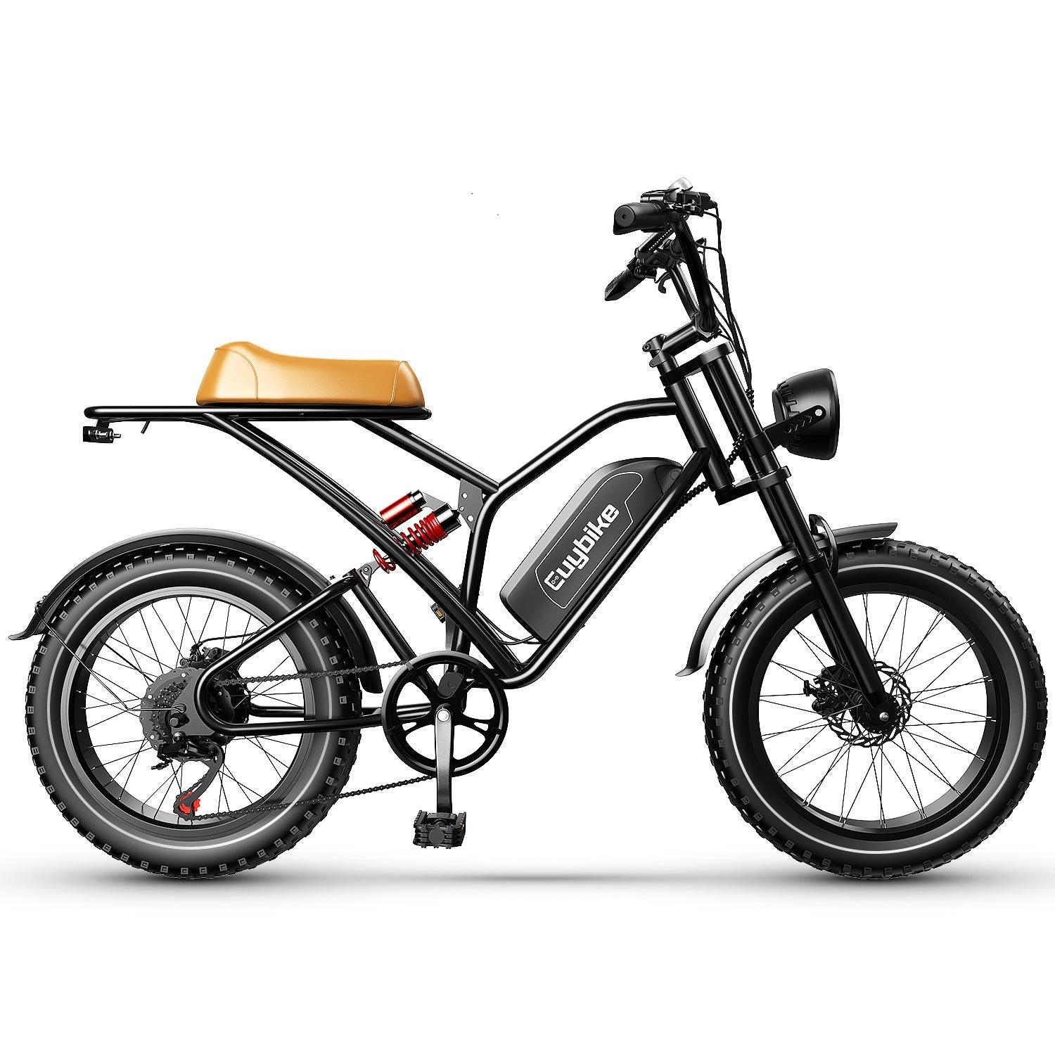 LazyBot™ Seattle S4 1000W 48V 25AH electric bike 20 inch fat tire bicycle beach cruise e-bike all terrain off-road ebike for Adults - Lazy Pro