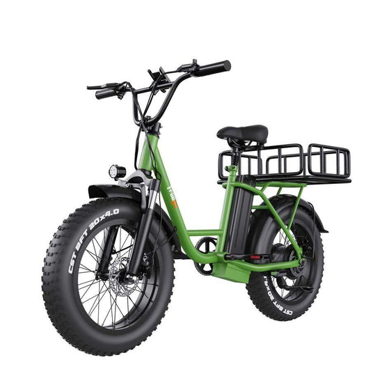 LazyBot™ Wisconsin B4 Fat Tires cargo Electric Bike  1200W Powerful Motor